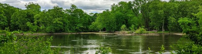 water and trees