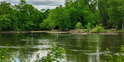 water and trees