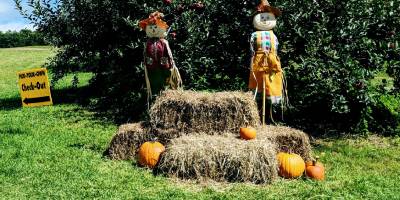 pumpkin and haybale display