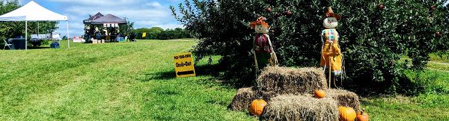 pumpkin and haybale display