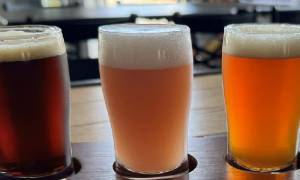 three glasses of beer
