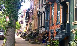 albany stoops