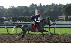 jockey on horse in morning