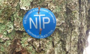 northville placid trail hiking marker