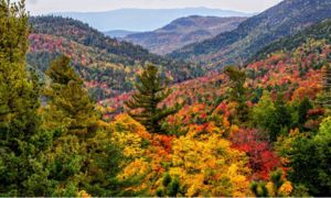 fall foliage views from summit