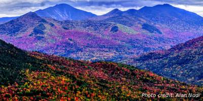 fall summit